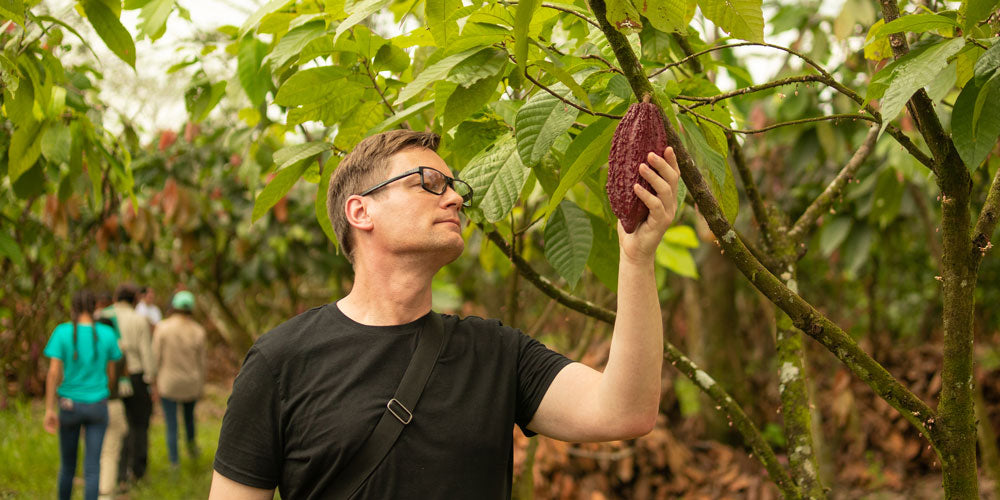 The History of Chocolate
