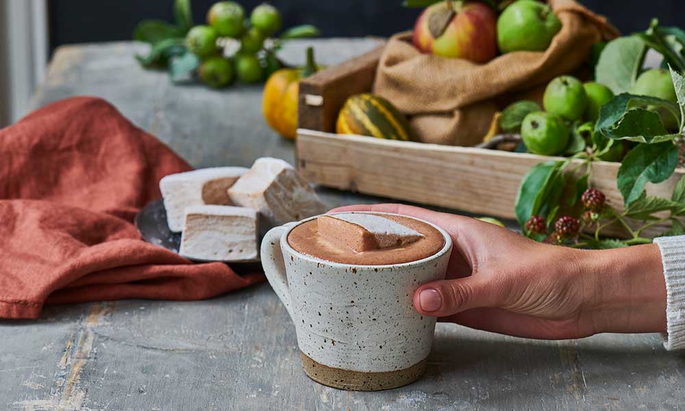 Pumpkin spice hot chocolate recipe