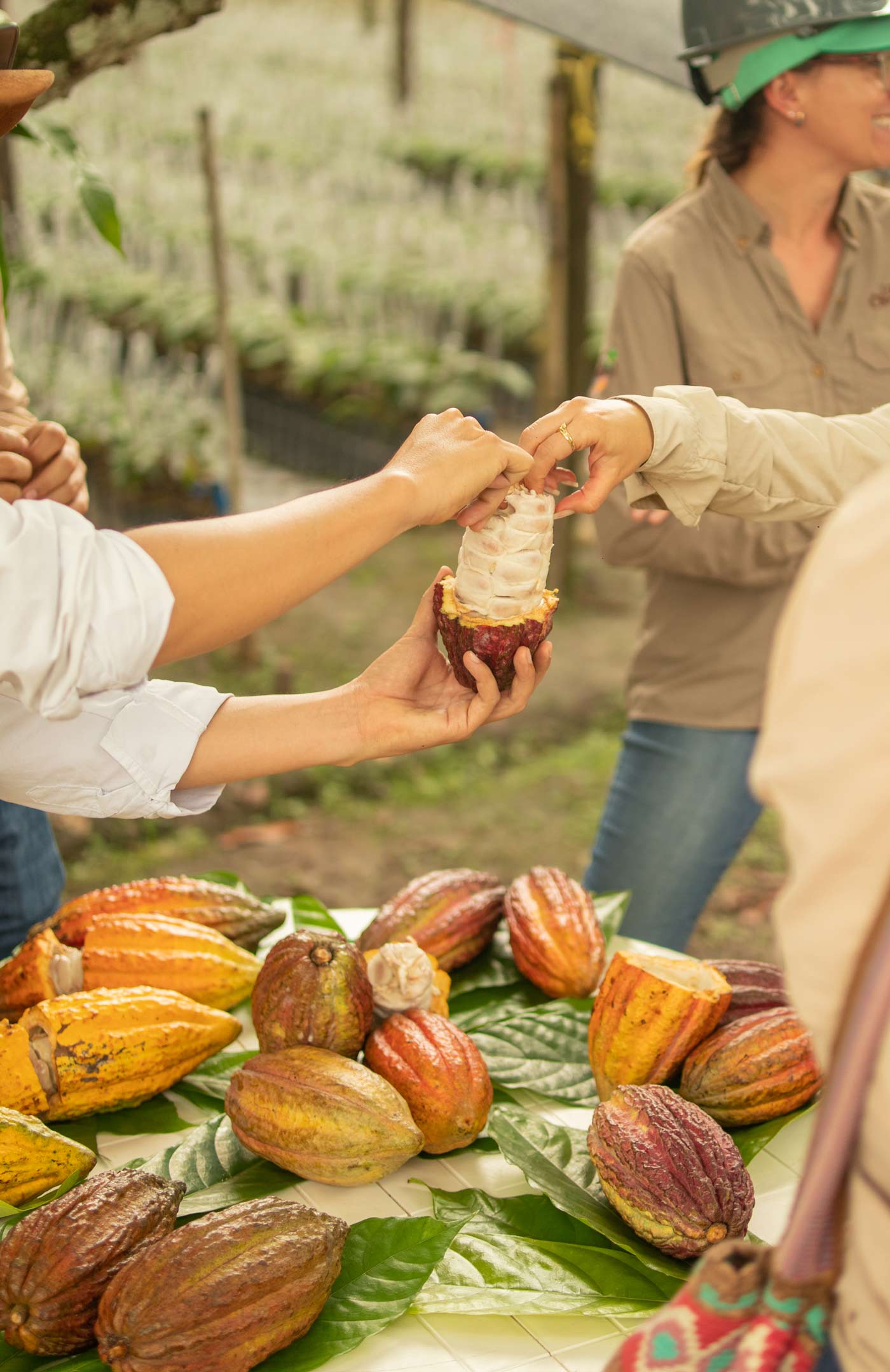 World Chocolate Day: Chocolate was made for drinking